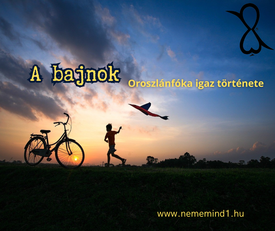 Read more about the article A bajnok (Oroszlánfóka igaz története)