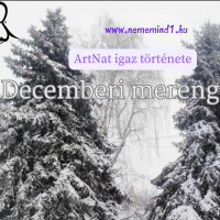 Decemberi merengő  (ArtNat igaz története)