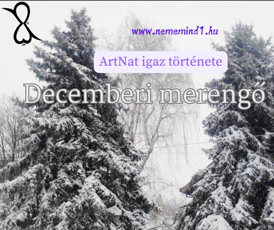 You are currently viewing Decemberi merengő  (ArtNat igaz története)